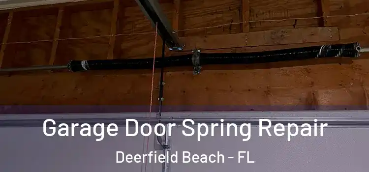  Garage Door Spring Repair Deerfield Beach - FL